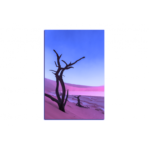 Obraz na plátně - Mrtvý strom v dunách - obdélník